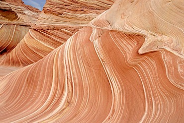 The Wave, North Coyote Buttes, Vermilion Cliffs, Paria Canyon, Arizona, USA