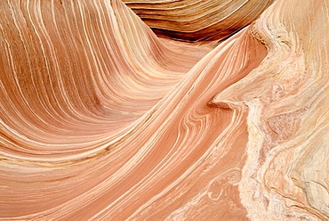 The Wave, North Coyote Buttes, Vermilion Cliffs, Paria Canyon, Arizona, USA