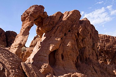 Elephant Rock, Valley Of Fire State Park, Nevada, USA