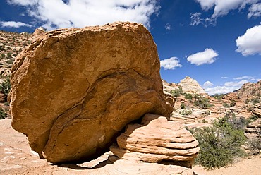 Slab at Canyon Overlook Trail, Zion National Park, Utah, USA