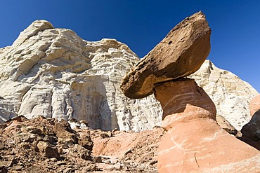 Toadstool Hoodoos, Utah, USA