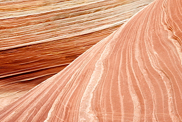 The Wave, North Coyote Buttes, Vermilion Cliffs, Paria Canyon, Arizona, USA, North Amerika