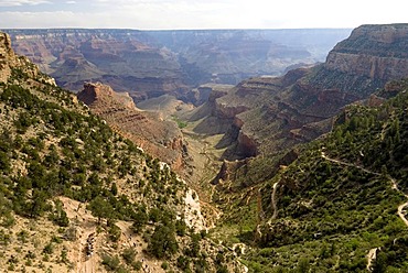 Bright Angel Trail, South Rim, Grand Canyon National Park, Arizona, USA, North America