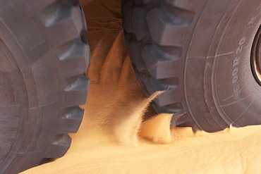 Tire of a truck is digging through sand