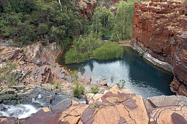 Fortescue pool Dales Gorge Karijini National Park Pilbara region western australia WA