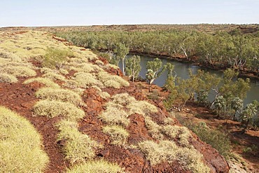 Landscape and Fortescue river Millstream Chichester National Park Pilbara region western australia WA