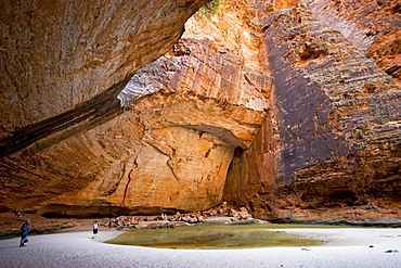 Cathedral Gorge, Bungle Bungle, Purnululu National Park, World Heritage Site, Kimberley, West Australia, Australia