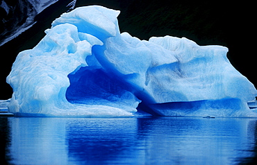 Iceberg, LeConte Glacier, Alaska, USA