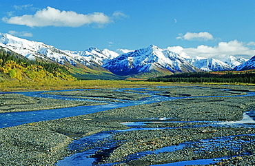 The far-branching Teklanika River flowing from the mountains of the Alaska Range, Denali National Park, Alaska, USA