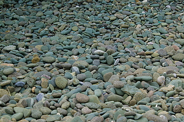 Stones at the beach