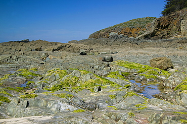 Rock formation at low tide