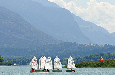 Sailing boats of the Optimists class on Chiemsee lake near Breitbrunn, Bavaria, Germany, Europe