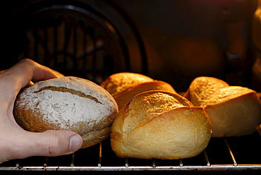 Bread rolls crisped up in the oven