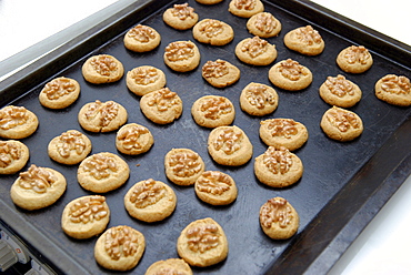 Home-baked cookies on baking tray