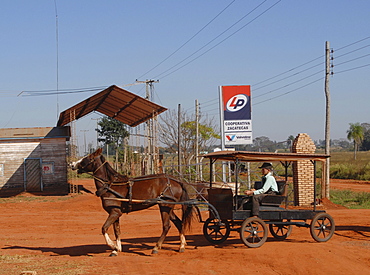 Old-style mennonites in Paraguay, boy with typical horse cart in front of a gas station