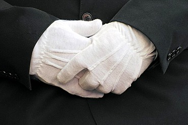 Attendant, butler, coachman. Hands folded with withe gloves. glove.