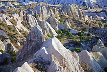 Rose Valley, Cappadocia, Anatolia, Turkey