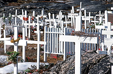 Cemetery with simple white wooden crosses, Ilulissat, Greenland