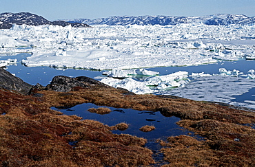 Icebergs, Disko Bay, Jacobshavner Icefjord, Greenland