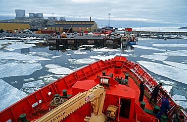 Harbour filled with ice floes, Christianshab, Greenland