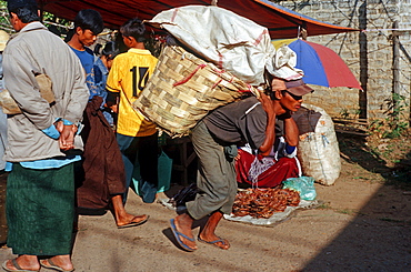 Day labourer, Kalaw, Burma, Asia