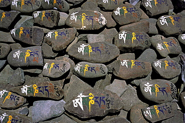 Mani stones with ornate Old Tibetan lettering: OM MANI PADME HUM, Ladakh, India, Asia