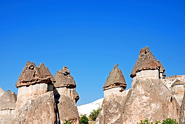 Tufa formations, Valley of the Monks (Pasabagi-Valley) near Goereme, Cappadocia, Anatolia, Turkey