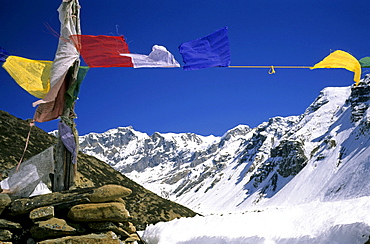 Colourful prayer flags printed with holy verses and a Wind Horse, mythical Tibetan creature stemming from the pre-Buddhist era, Annapurna region, Himalayas, Nepal, Asia