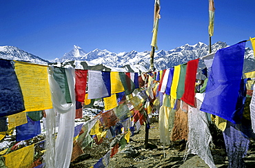 Colourful prayer flags printed with holy verses and a Wind Horse, mythical, pre-Buddhist Tibetan creature, Mt, Dhaulagiri in the background, Muktinath, Annapurna region, Himalayas, Nepal, Asia