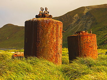 Boiler from an old station for the production of penguin oil on Macquarie Island, Australian Antarctic