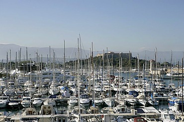 View of the marina , Port Vauban , Antibes , Provence-Alpes-Cote d'Azur , France , Europe