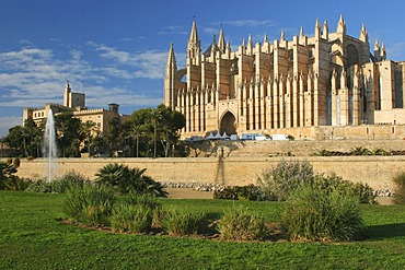 Cathedral La Seu and Almudaina Palace in Palma, Majorca , Balearic Islands , Spain , Europe