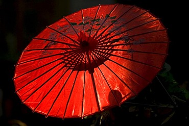 Red parasol, Shanghai, China, Asia