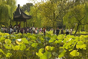 Humble Administrator's Garden, Suzhou, China, Asia