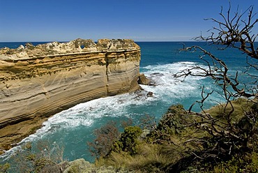 Great Ocean Road, The Razorback limestone cliff, Southern Ocean, Victoria, Australia