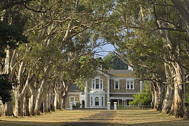 Avenue in the Adelaide Hills, Adelaide, South Australia, Australia