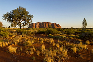 Ayers Rock, called Uluru, magic rock of the Aboriginals, Yulara, Ayers Rock, Northern Territories, Australien, Australia