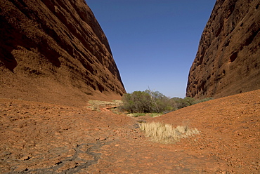 Olgas, Uluru - Kata Tjuta Nationalpark, Yulara, Ayers Rock, Northern Territories, Australien, Australia