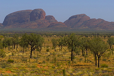 Olgas, Uluru - Kata Tjuta Nationalpark, Yulara, Ayers Rock, Northern Territories, Australien, Australia