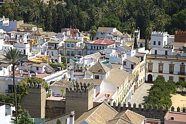 View of Seville's historic centre from the tower of Seville Cathedral, Seville, Andalusia, Spain, Europe