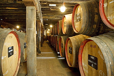 Wine Lodge wine cellar, Funchal, Madeira, Portugal, Europe