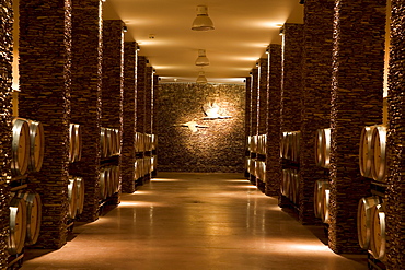 Bodega of Herdade dos Grous, or Manor of the Crane, Alentejo Region, Portugal, Europe