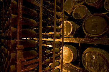 Bodega Jose Maria Fonseca, Winery Museum, all vintages of Moscatel wine are stored here, Vila Nogueira de Azeitao, SetÃºbal, Portugal, Europe