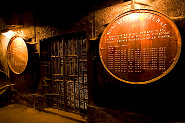 Bodega Jose Maria Fonseca, Winery Museum, all vintages of Moscatel wine are stored here, Vila Nogueira de Azeitao, SetÃºbal, Portugal, Europe