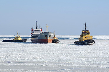 The Odessa seaport is blocked by ice, frozen Black Sea, a rare phenomenon, last time it occured in 1977, Odessa, Ukraine, Eastern Europe