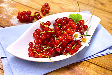 Bowl with red currants and daisies