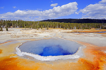 Crested Pool, a hot spring in Upper Geyser Basin, Yellowstone National Park, Wyoming, USA