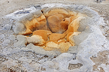 Shell Spring, geyser, hot spring, Biscuit Basin, Yellowstone National Park, Wyoming, USA