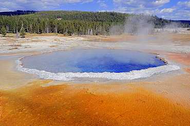 Crested Pool, a hot spring in Upper Geyser Basin, Yellowstone National Park, Wyoming, USA