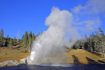 Riverside Geyser, Upper Geyser Basin, Yellowstone National Park, Wyoming, USA